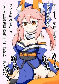 Tamamo to Jusei Kaisetsu Ninshin Play