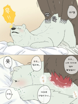[Otousan (Otou)] Shirokuma-san to Haiiroguma-san ga Ecchi suru dake | 시로쿠마 씨와 그리즐리 씨가 섹스한 것 뿐 [Korean] page 10