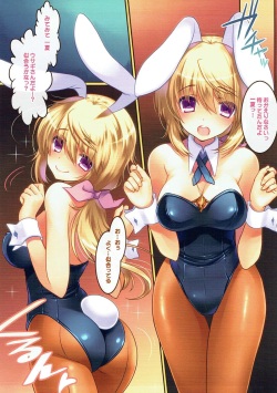(C84) [slice slime (108 Gou)] Hatsujou Usagi no Shitsukekata (IS <Infinite Stratos>) page 2