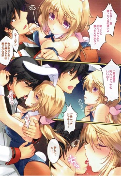 (C84) [slice slime (108 Gou)] Hatsujou Usagi no Shitsukekata (IS <Infinite Stratos>) page 3