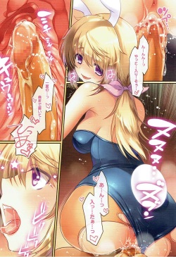 (C84) [slice slime (108 Gou)] Hatsujou Usagi no Shitsukekata (IS <Infinite Stratos>) page 9