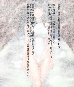 [Nicolion] Saint · Woman Shiny FILE 3 · "Gel Demi Peppipa" page 8