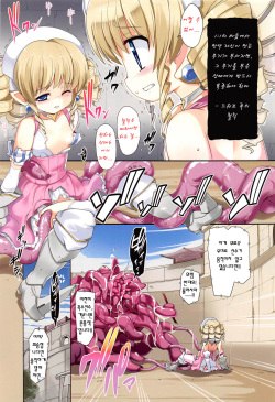 (C83) [Kazemichiya (Mamo Williams)] Rule (Queen's Blade) [Korean] [히토미] page 5
