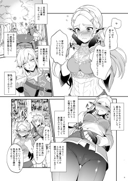 [Morittokoke (Morikoke)] Hyrule Hanei no Tame no Katsudou! (The Legend of Zelda) [Digital] page 6