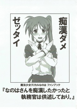 (Lyrical Magical 23) [STROLL IN THE WOODS !! (ELF)] Nanoha-san o Chikan shitakatta to Shitsumukan wa Kyoujutsu shiteori. (Mahou Shoujo Lyrical Nanoha) page 2