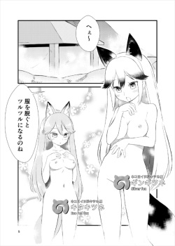 (C93) [HolyMist (Taguchi Makoto)] Tabechaou zo! Japari Onsen Hen (Kemono Friends) page 4