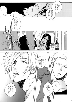 (C90) [Kyozoya (Kunoichi)] RABBIT (One Piece) page 8