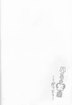 (C93) [Morittokoke (Morikoke)] Hyrule Hanei no Tame no Katsudou! (The Legend of Zelda) page 3