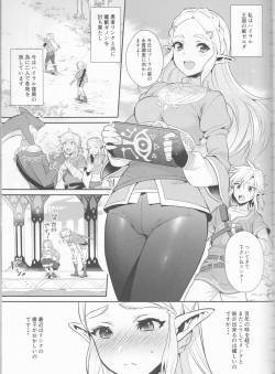 (C93) [Morittokoke (Morikoke)] Hyrule Hanei no Tame no Katsudou! (The Legend of Zelda) page 4