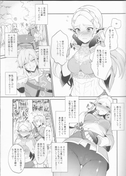 (C93) [Morittokoke (Morikoke)] Hyrule Hanei no Tame no Katsudou! (The Legend of Zelda) page 6