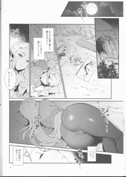 (C93) [Morittokoke (Morikoke)] Hyrule Hanei no Tame no Katsudou! (The Legend of Zelda) page 7