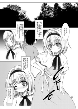 [Aki no Yonaga ni Yoiyami ni (Nagatsuki Rio)] Manupilate puppet (Touhou Project) [Digital] page 2