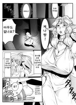 [Mumyoukutsu (Mou)] Isekai ni Shoukan sareta Ore ga Kourusai Elf Oyako o Onahoka shite Yaru Ken [Korean] [navigator] [Digital] page 3