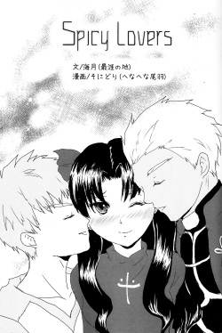 SpicyLovers (Fate) page 2
