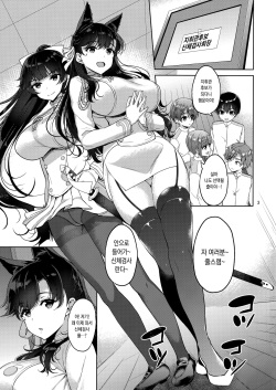 (C93) [Akapenguin (Asahina Hikage)] Atago-san to Takao-san | 아타고 씨와 타카오 씨 (Azur Lane) [Korean] page 2