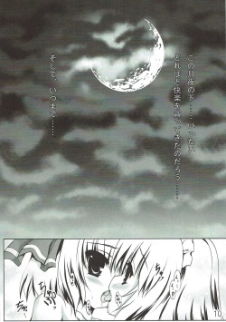 ぐずぐず本vol.1 東方Project page 9